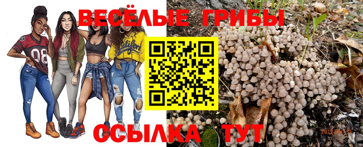 Галлюциногенные грибы MAGIC MUSHROOMS Усть-Джегута