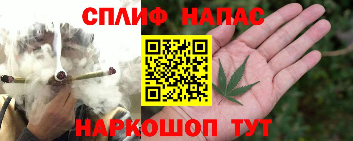 Конопля конопля Усть-Джегута